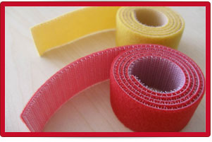 Plants: image 1 0f 4 thumb